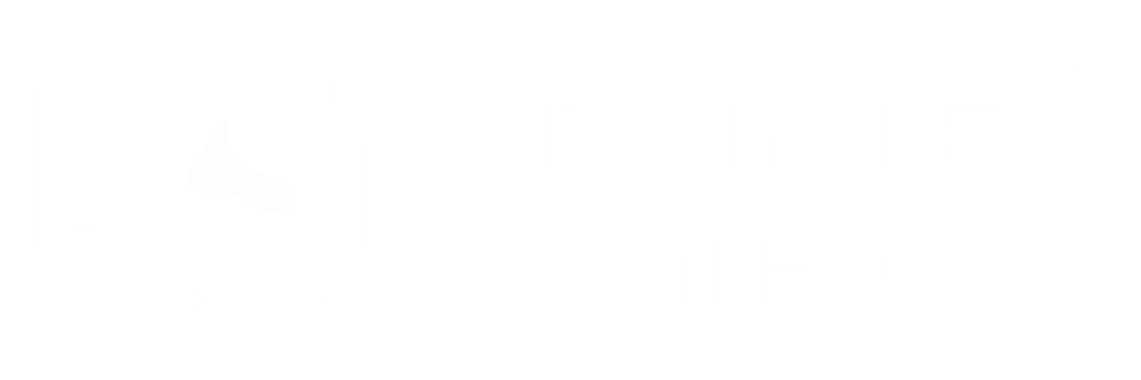 DSH White Logo